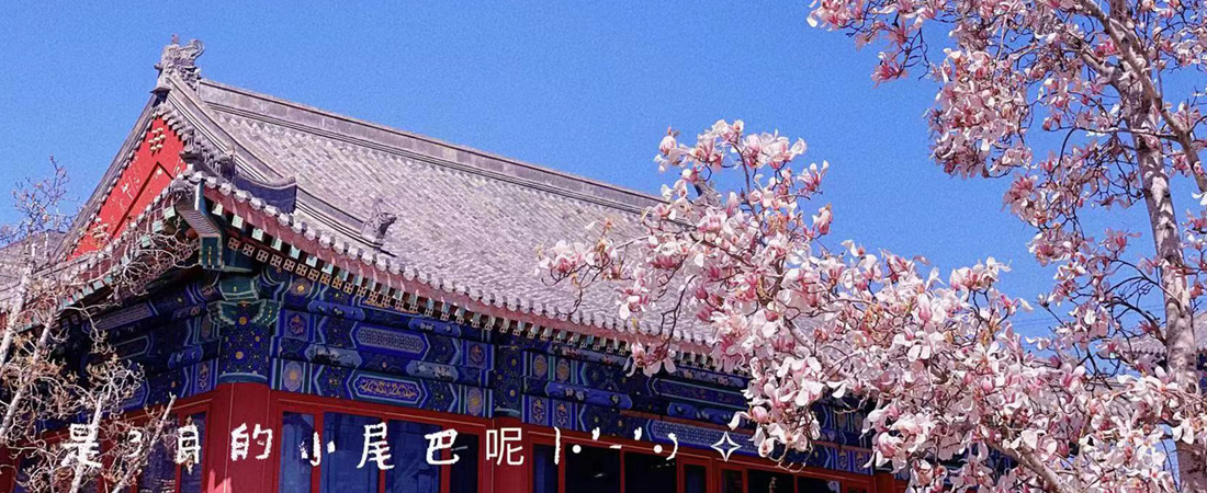 沃肯互动 公司环境